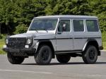 Mercedes-Benz G300 CDI Professional 2010 года